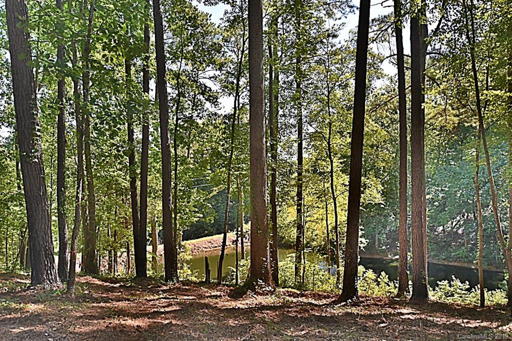 3550 Dobys Bridge Road Fort Mill, SC 29715 - Photo 28 of 48 a view of a road with plants and trees