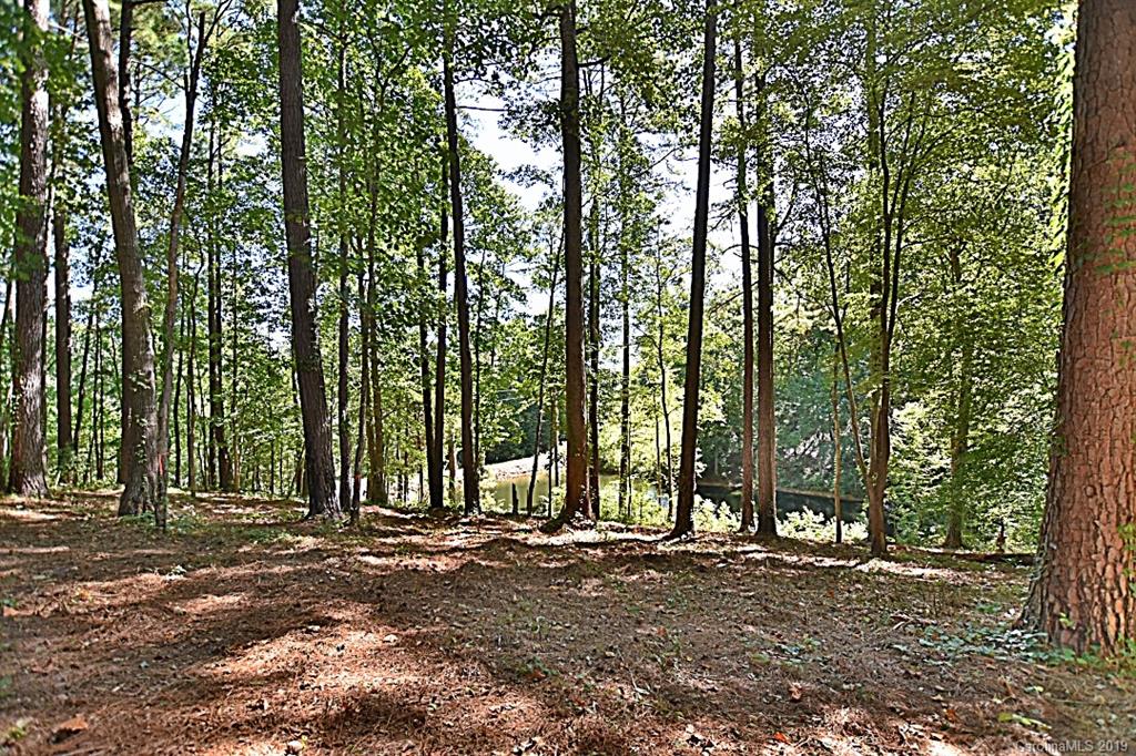 3550 Dobys Bridge Road Fort Mill, SC 29715 - Photo 31 of 48 a view of outdoor space and yard