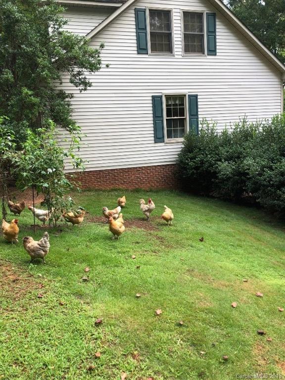 3550 Dobys Bridge Road Fort Mill, SC 29715 - Photo 39 of 48 a view of a backyard with plants and large tree