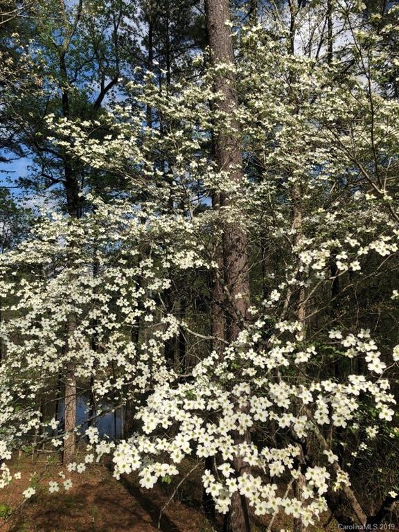 3550 Dobys Bridge Road Fort Mill, SC 29715 - Photo 41 of 48 a view of a tree