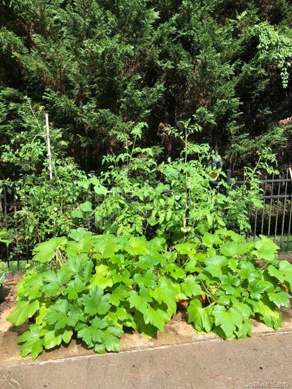 3550 Dobys Bridge Road Fort Mill, SC 29715 - Photo 44 of 48 a backyard of a house with lots of plant