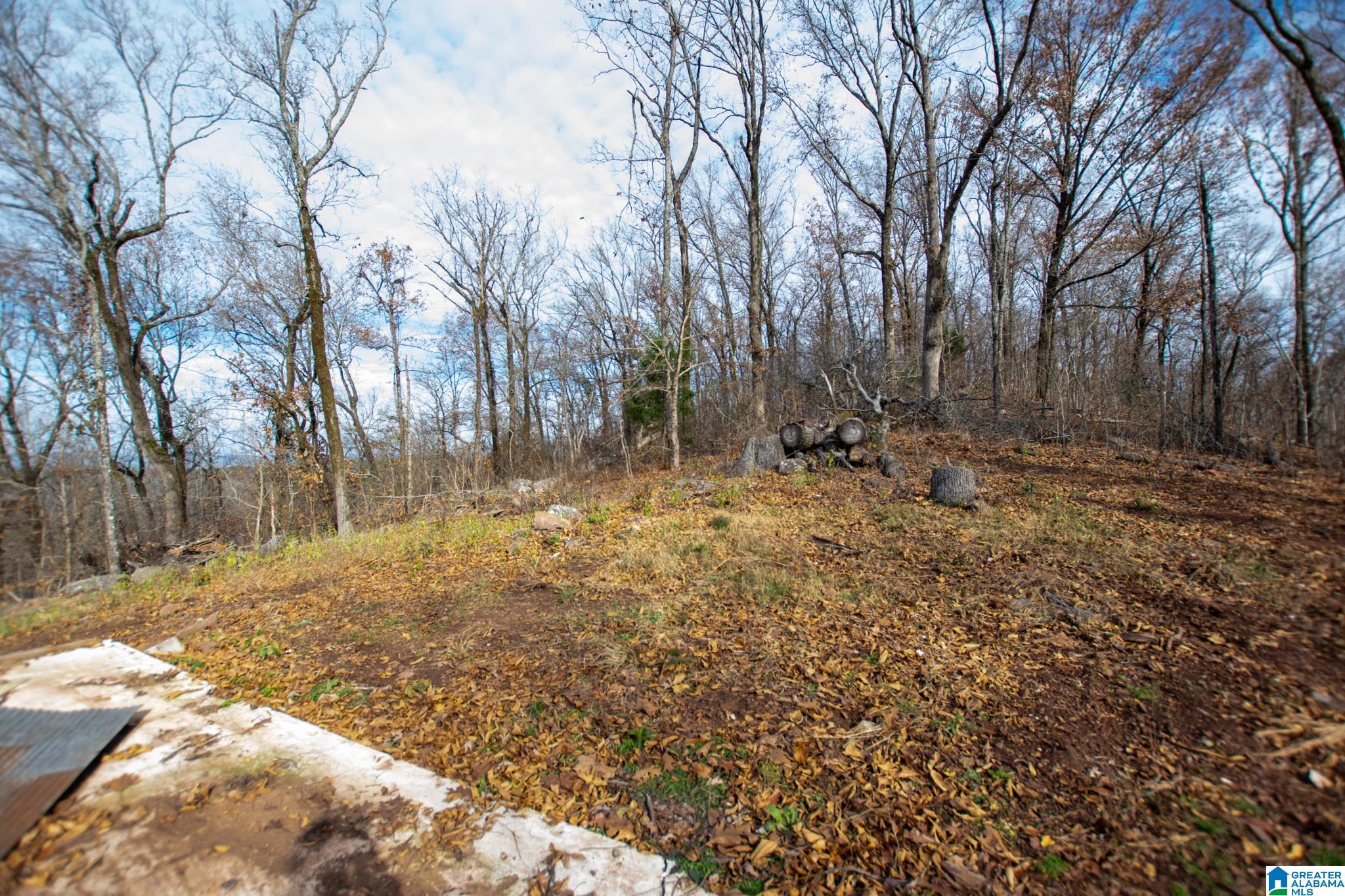 543 Young Road Remlap, AL 35133 - Photo 34 of 46
