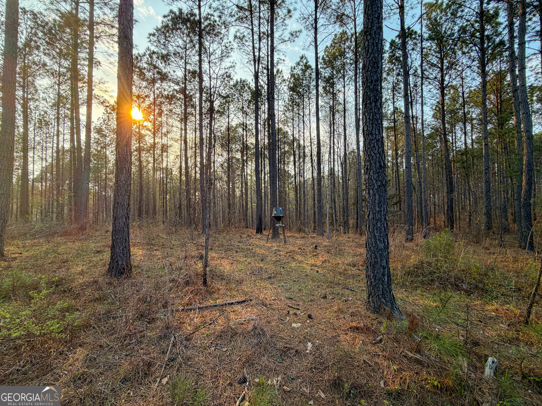 105 Acres On Mccosh Mill Road LaGrange, GA 30240 - Photo 23 of 25 a view of a forest