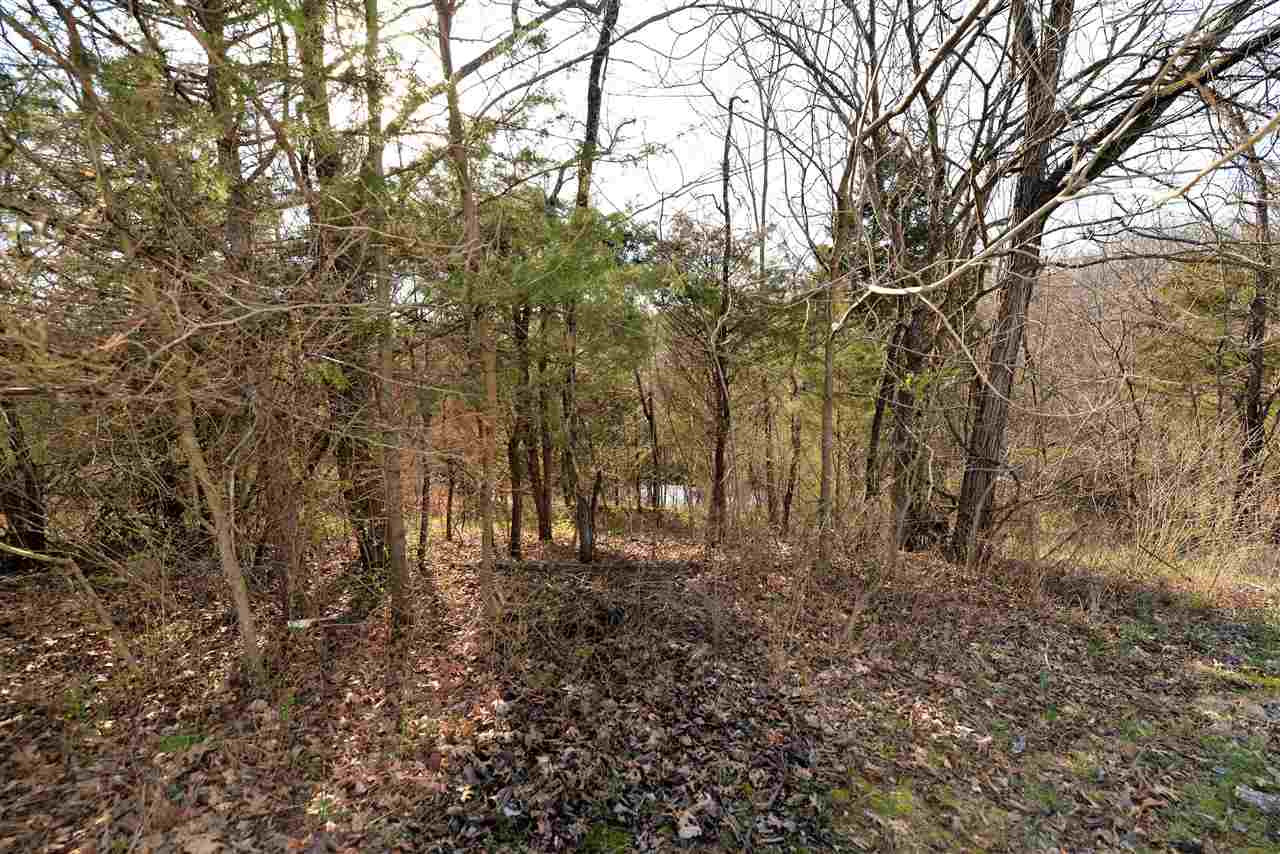 1265 Lincoln Ridge Road Williamstown, KY 41097 - Photo 8 of 19 Gallery Image 8