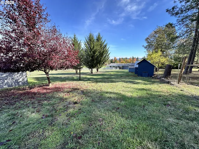 a view of outdoor space and yard