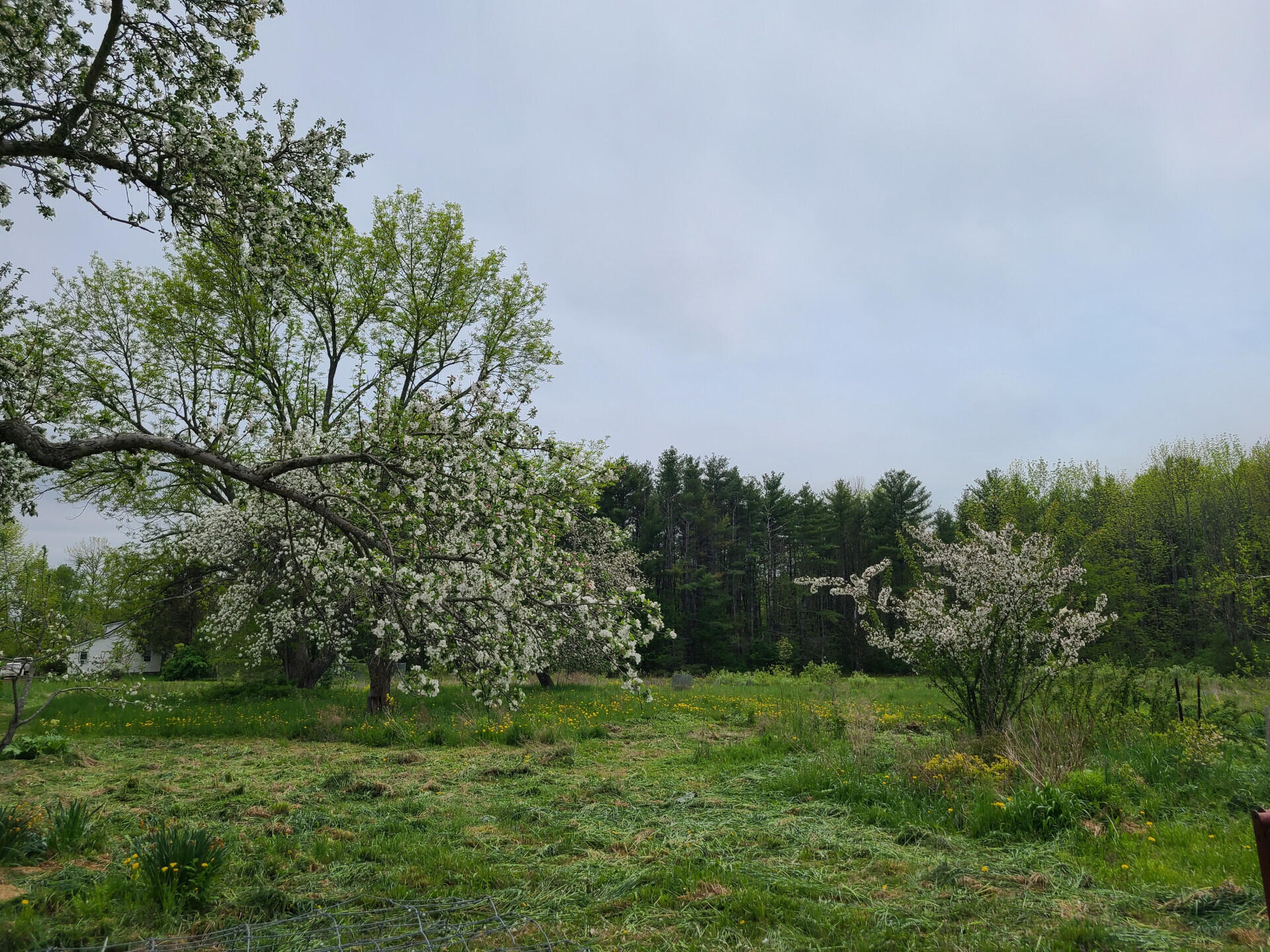 370CampBensonRd_22680_7