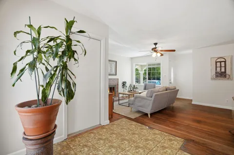 a living room with furniture and a potted plant