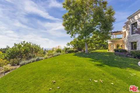a view of a big yard with plants and large trees