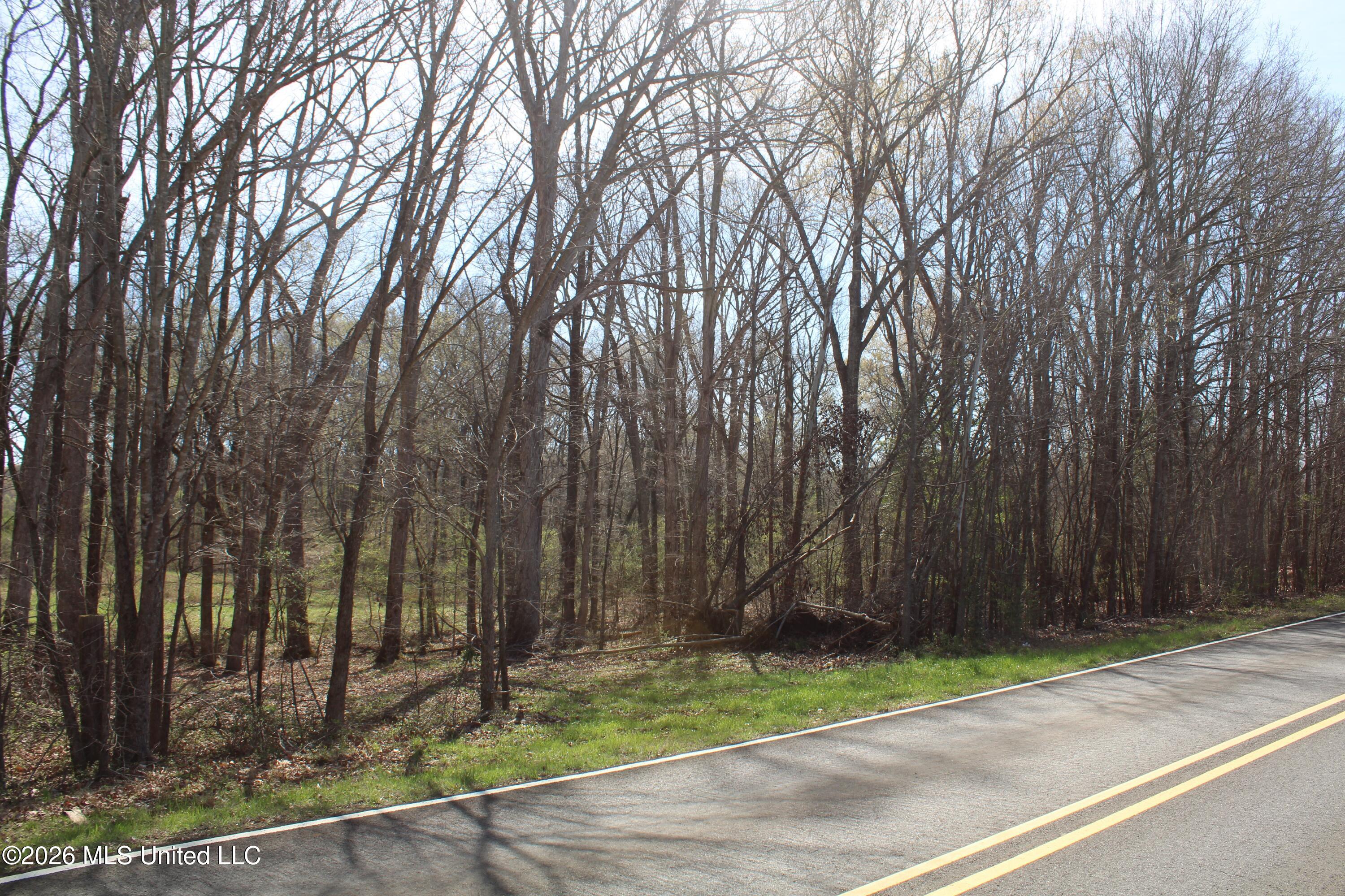 7 Barton Desoto Road Olive Branch, MS 38654 - Photo 2 of 6 IMG_7501