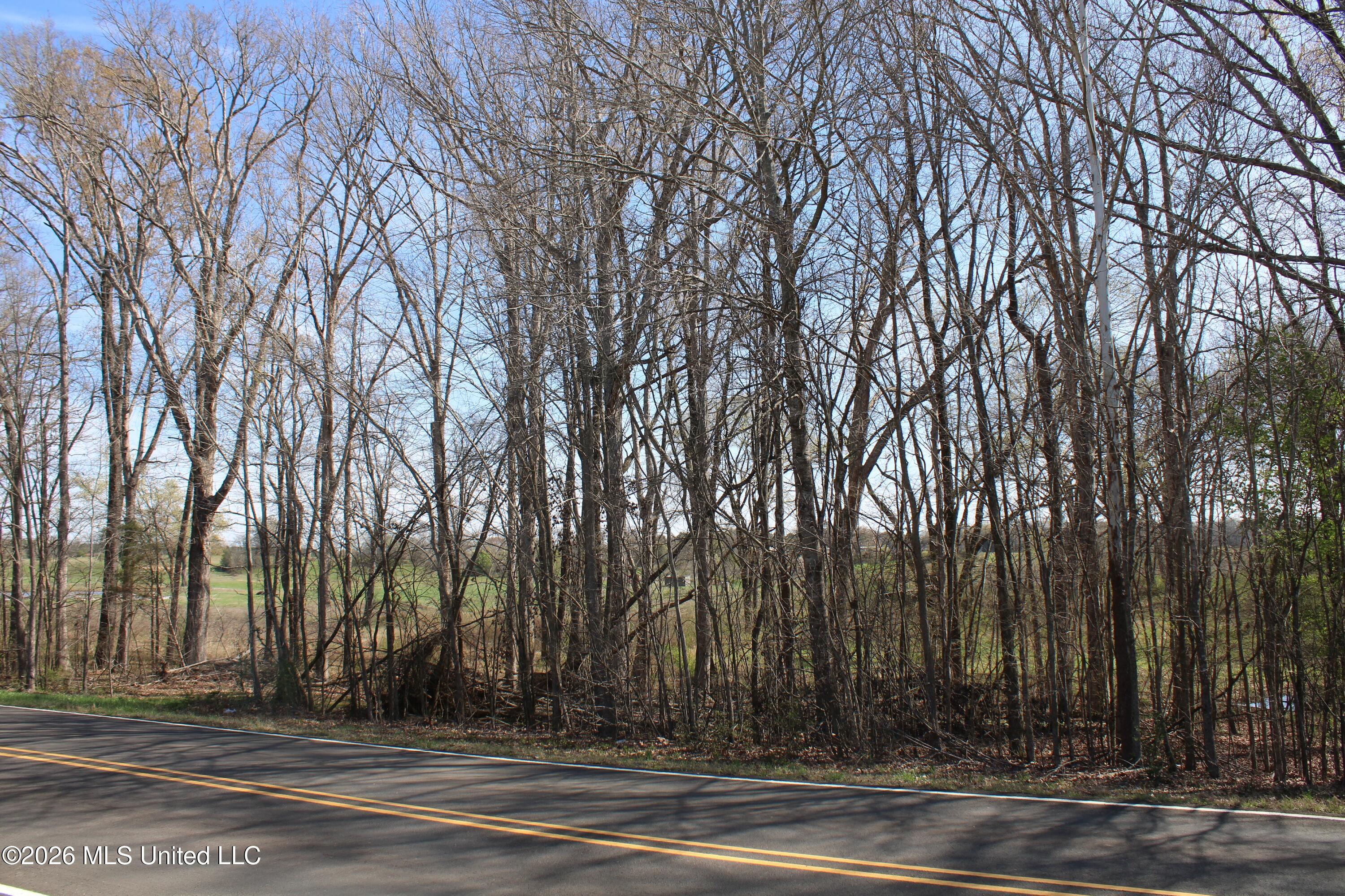 7 Barton Desoto Road Olive Branch, MS 38654 - Photo 5 of 6 IMG_7503