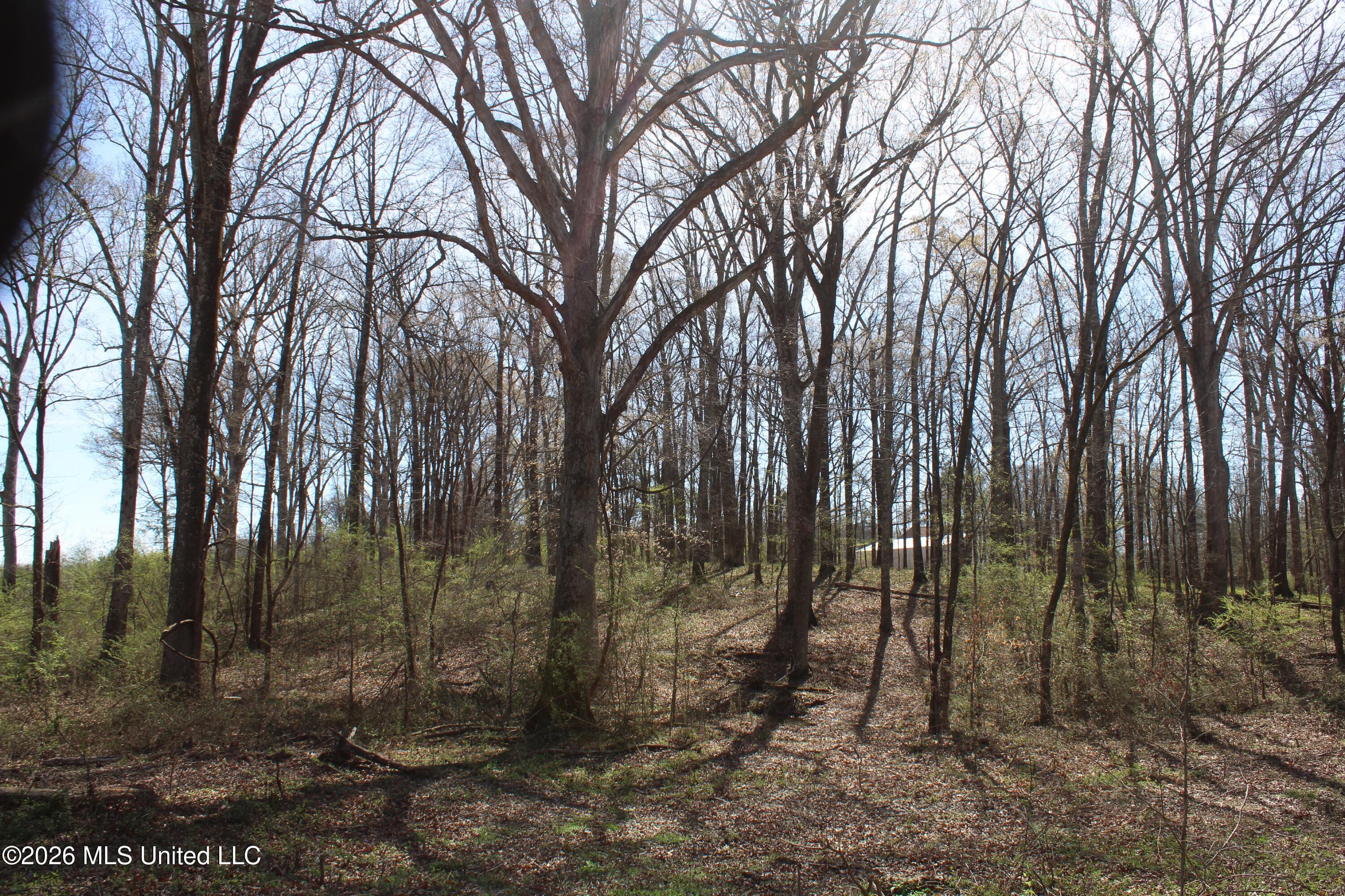 7 Barton Desoto Road Olive Branch, MS 38654 - Photo 6 of 6 IMG_7510
