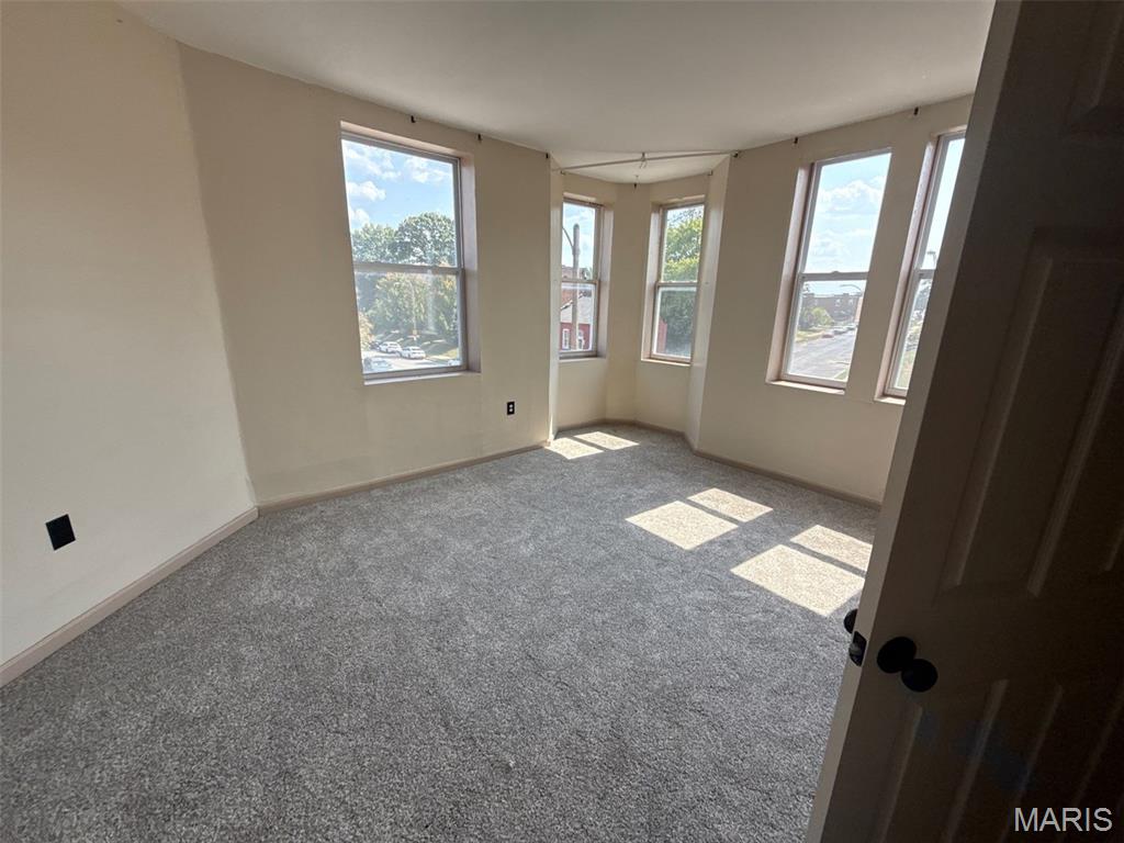 2901 Magnolia Avenue St. Louis, MO 63118 - Photo 4 of 20