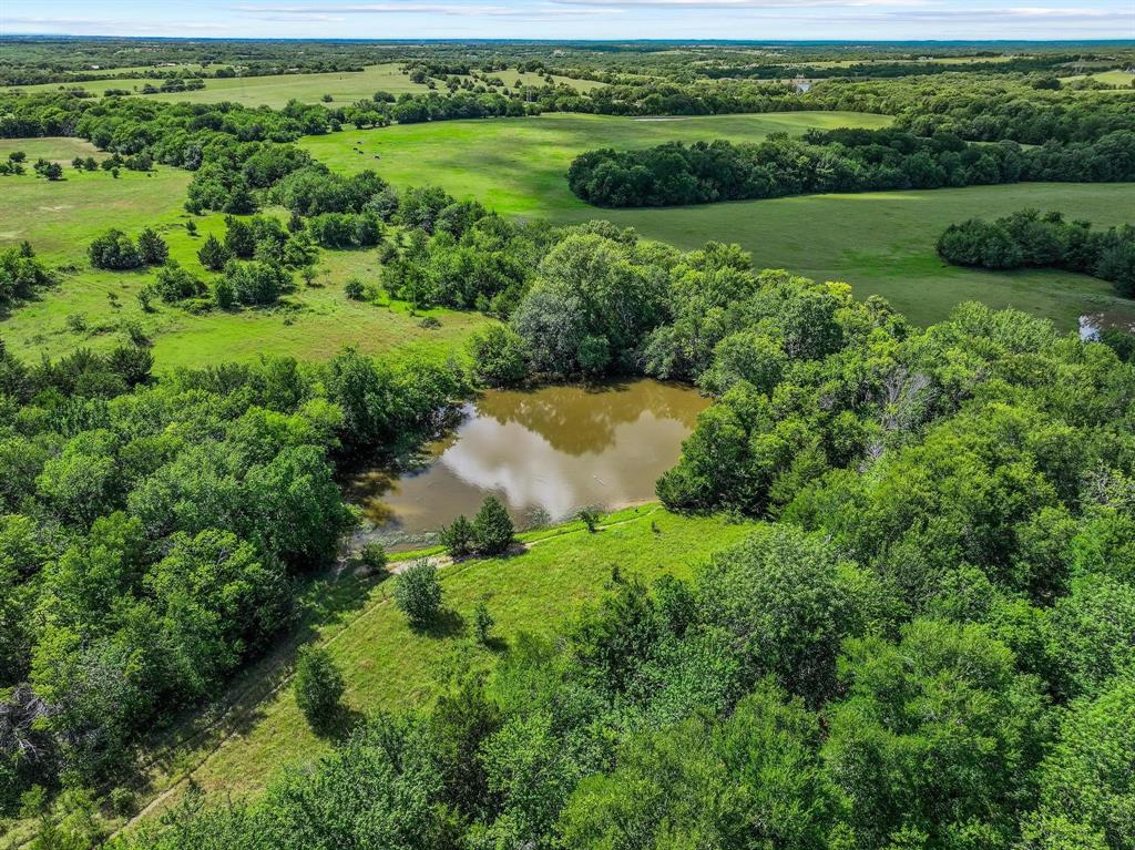 0 Fm 697 Whitewright, TX 75491 - Photo 10 of 21