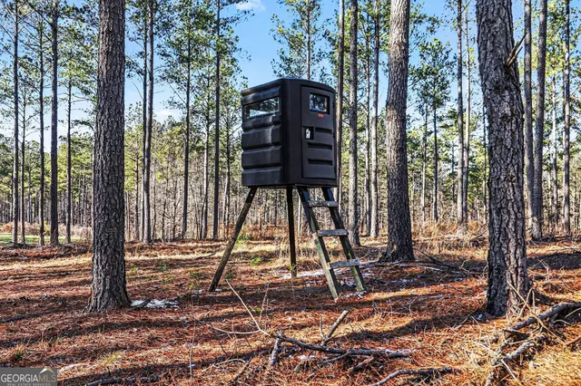 a view of a wooden floor and a tree in front of the house
