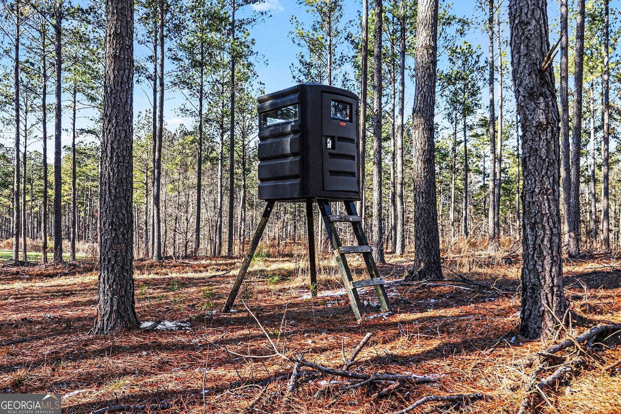 a view of a wooden floor and a tree in front of the house