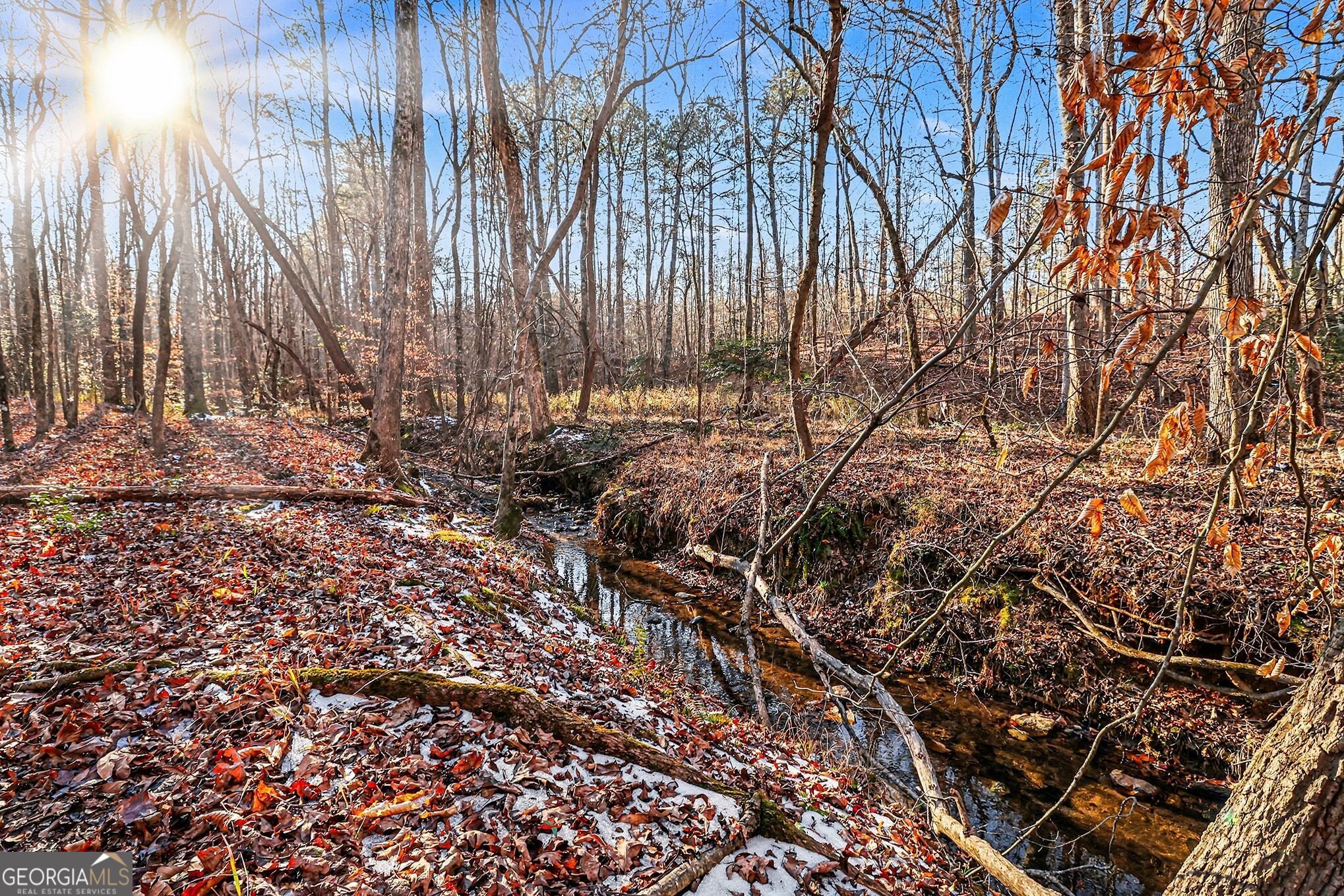 2285 Cherokee Road Comer, GA 30629 - Photo 11 of 61 a view of a backyard