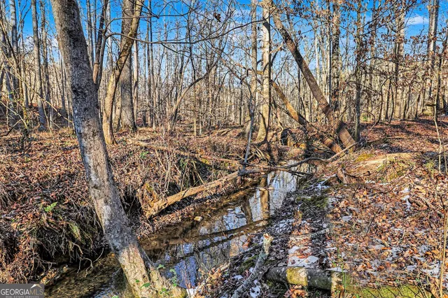 a view of outdoor space with deck and tree