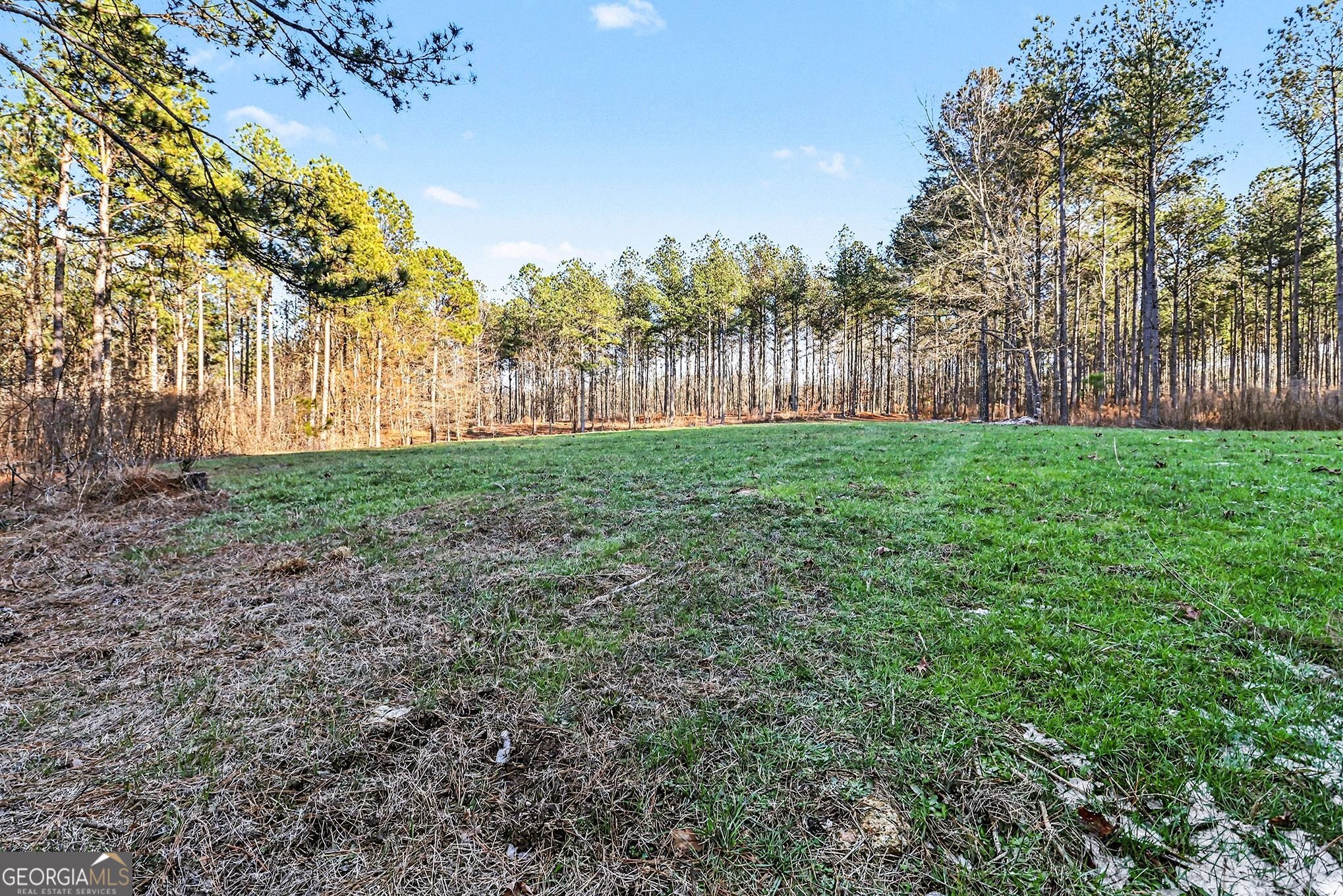 2285 Cherokee Road Comer, GA 30629 - Photo 13 of 61 a view of a yard with a house in the background
