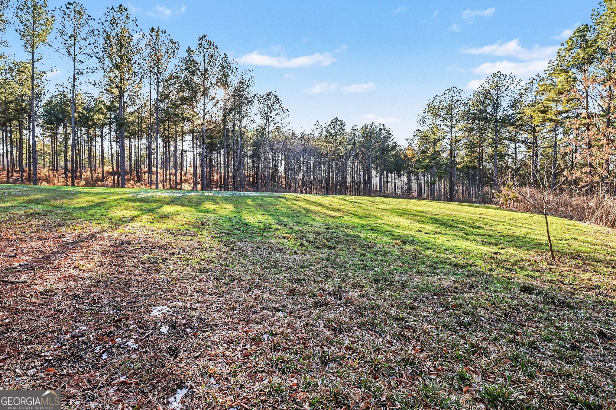 2285 Cherokee Road Comer, GA 30629 - Photo 14 of 61 a view of a field with trees in the background