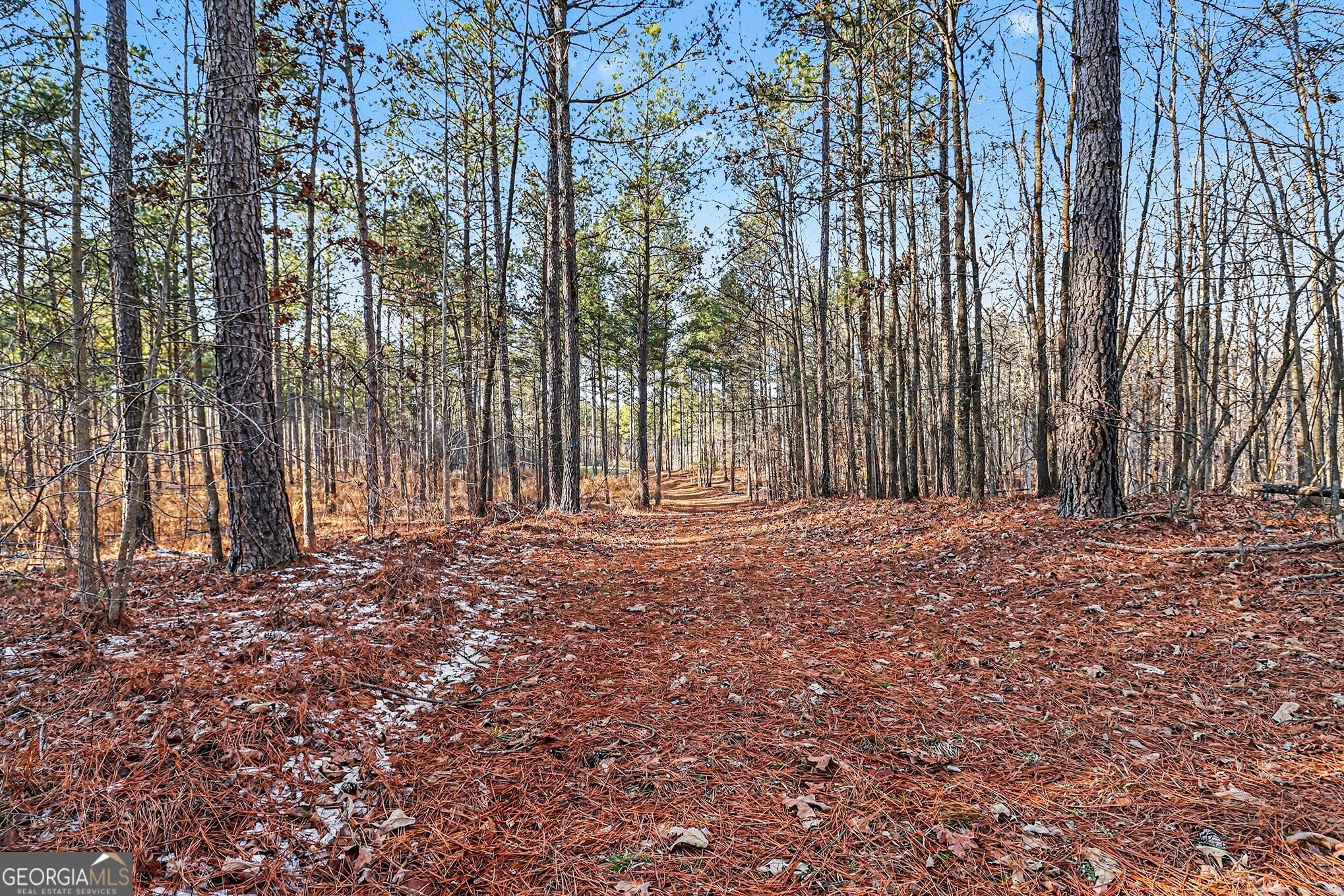 2285 Cherokee Road Comer, GA 30629 - Photo 15 of 61 a view of outdoor space with deck and tree
