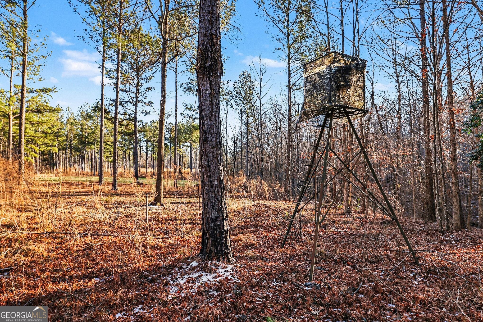2285 Cherokee Road Comer, GA 30629 - Photo 17 of 61 a backyard of a house with lots of green space
