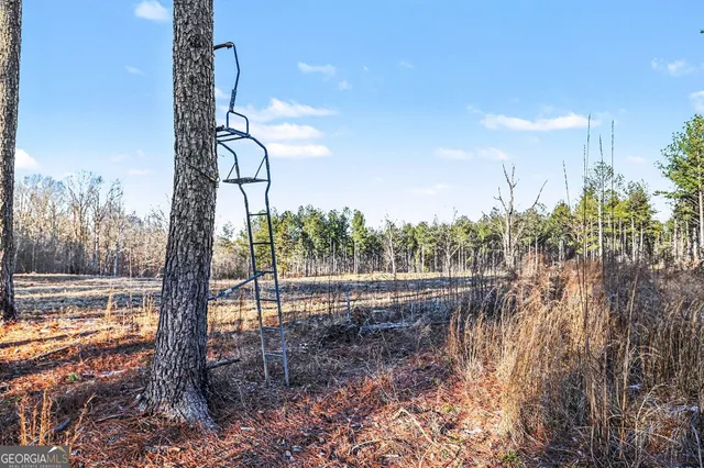 a view of a yard with an outdoor space