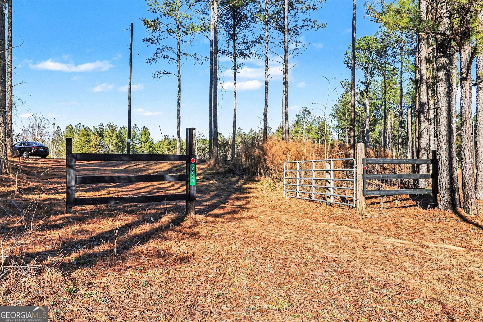 2285 Cherokee Road Comer, GA 30629 - Photo 2 of 61 a view of a bench in the middle of a yard