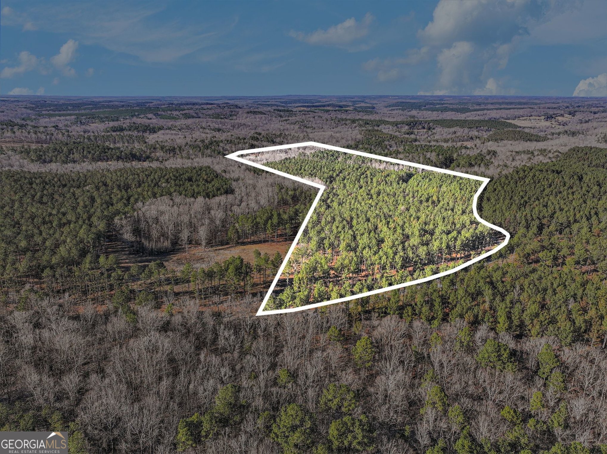 2285 Cherokee Road Comer, GA 30629 - Photo 21 of 61