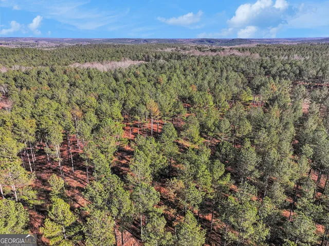 a view of outdoor space with lots of trees