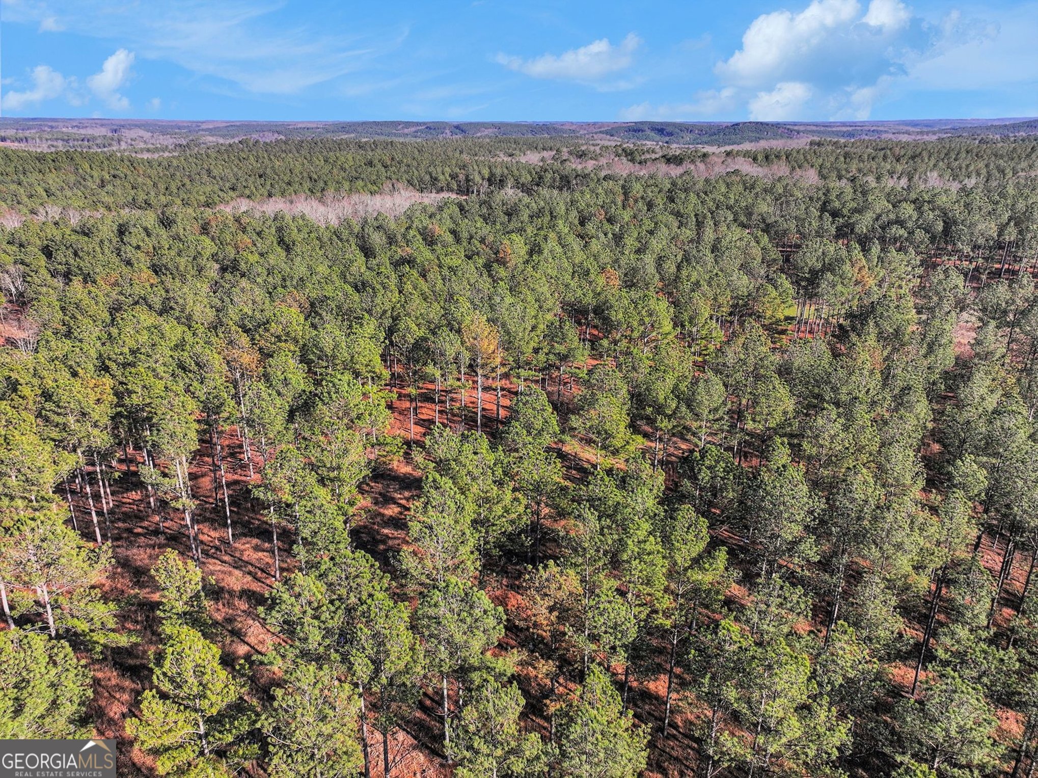 2285 Cherokee Road Comer, GA 30629 - Photo 26 of 61 a view of a city with lush green forest
