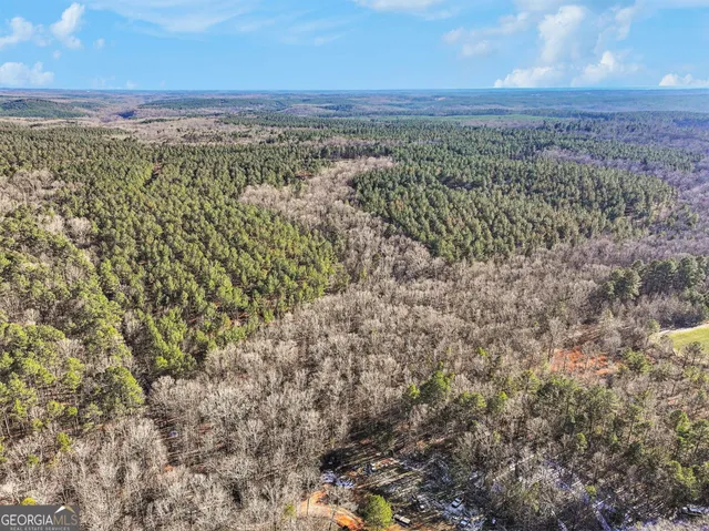 a view of outdoor space with lots of trees