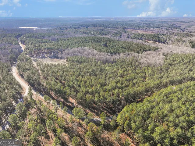 a view of a yard with large trees
