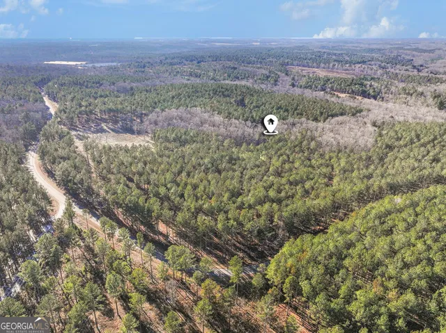 a view of a park with large trees
