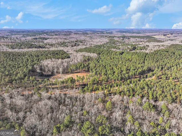 a view of outdoor space with lots of trees