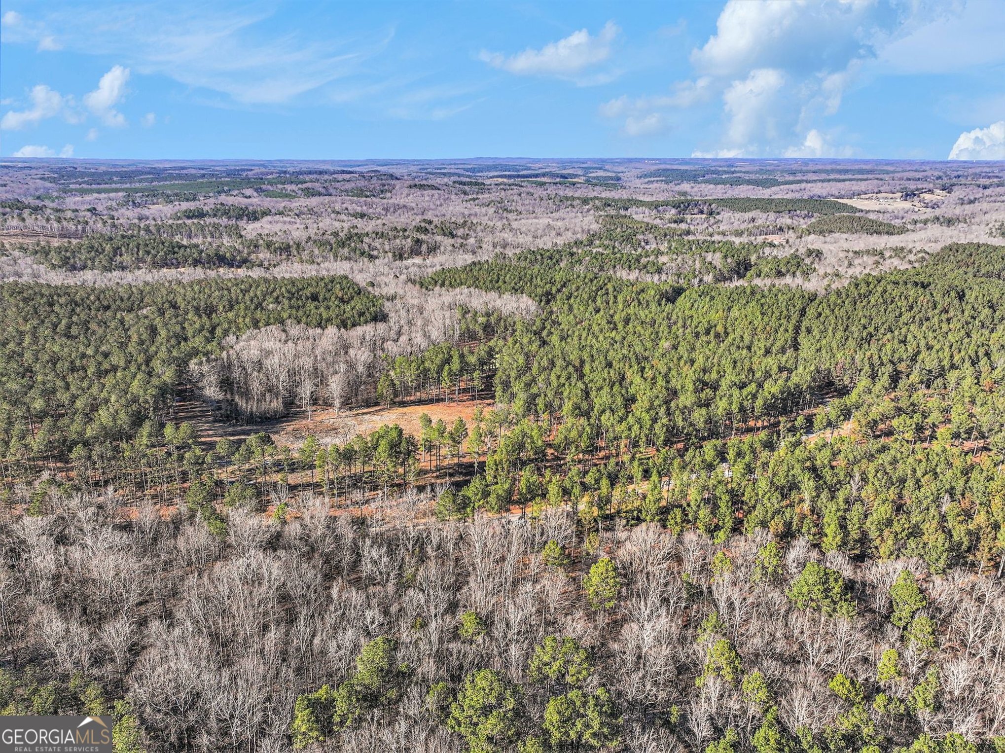 2285 Cherokee Road Comer, GA 30629 - Photo 33 of 61 a view of a city with lush green forest