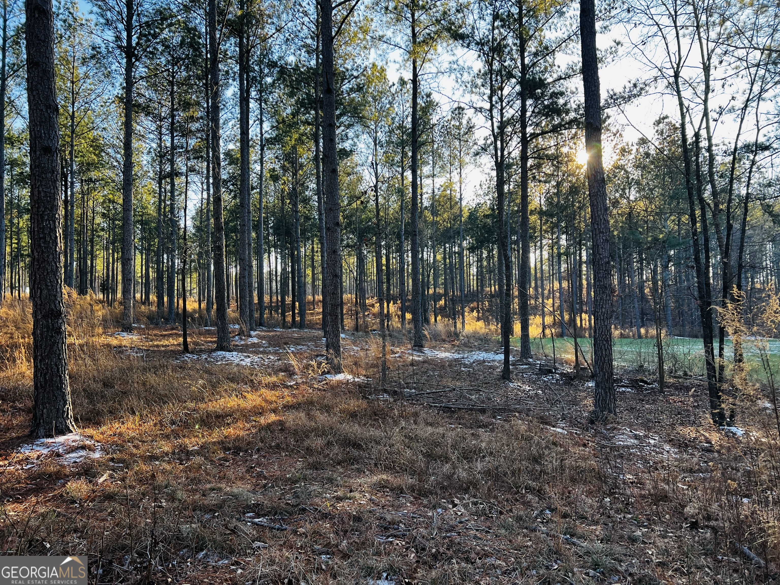 2285 Cherokee Road Comer, GA 30629 - Photo 34 of 61