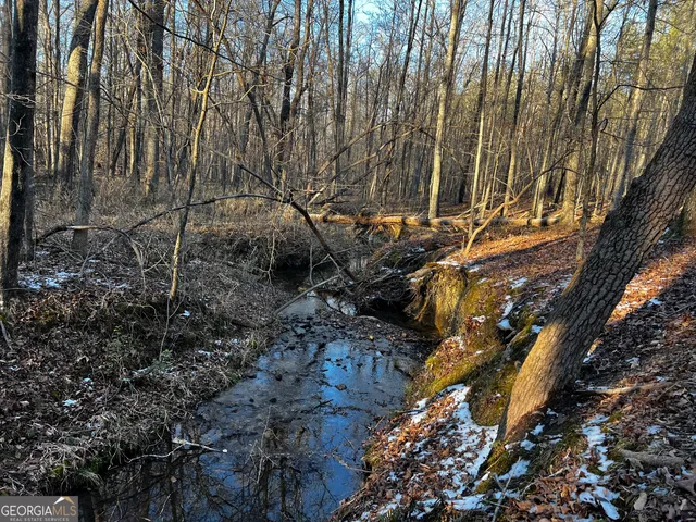 a view of outdoor space with trees
