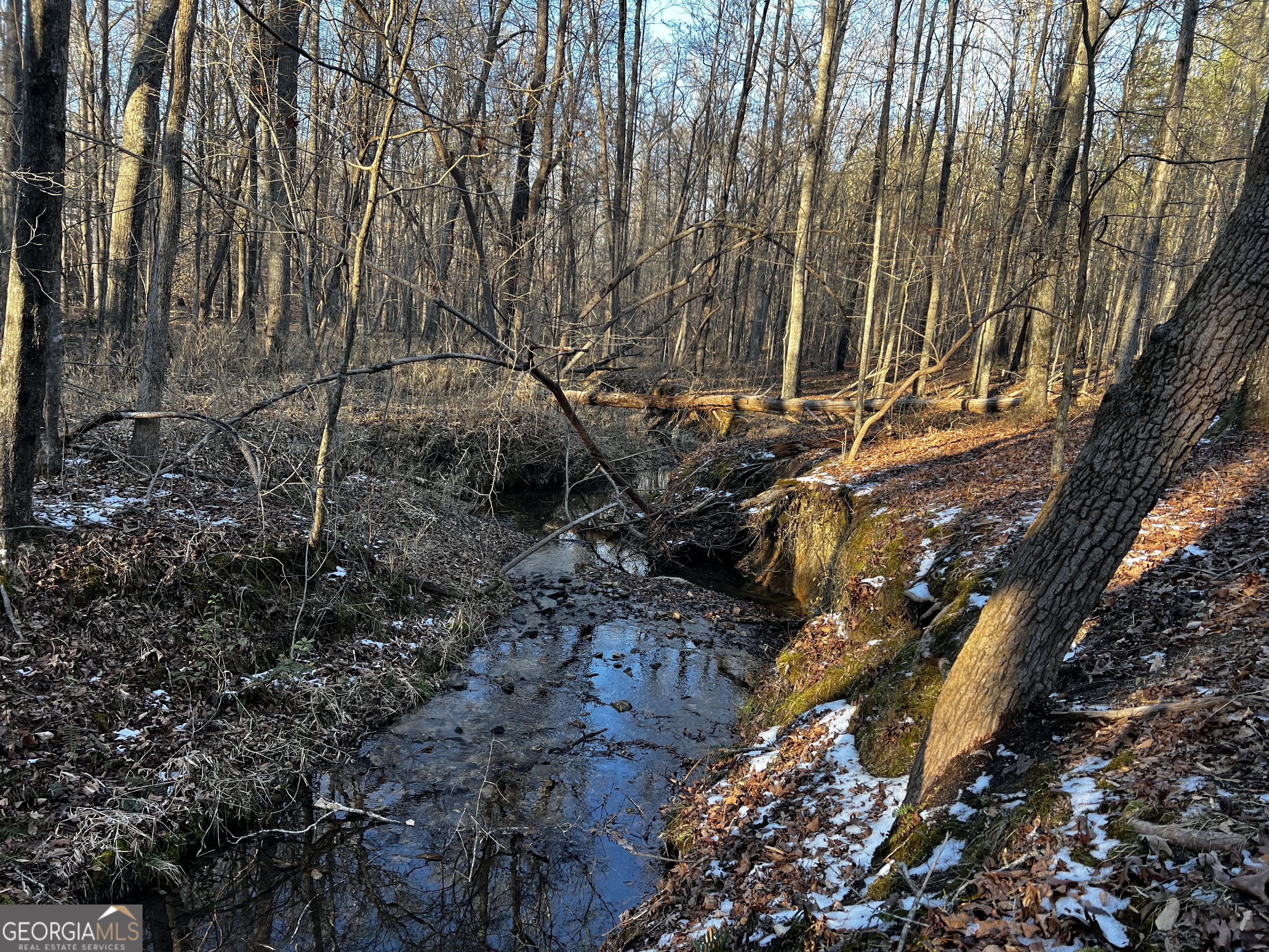 2285 Cherokee Road Comer, GA 30629 - Photo 36 of 61 a backyard of a house with a large tree