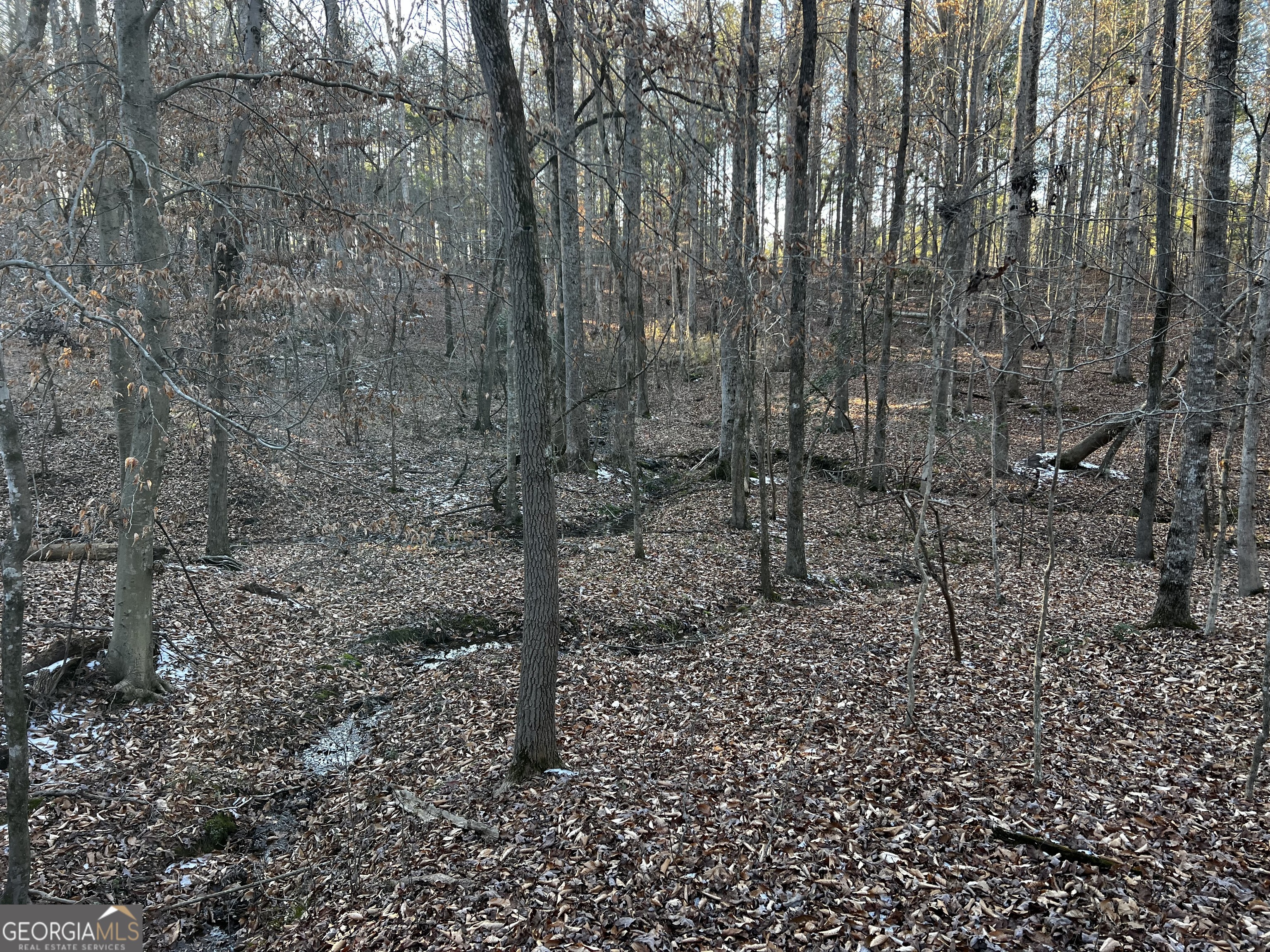 2285 Cherokee Road Comer, GA 30629 - Photo 37 of 61