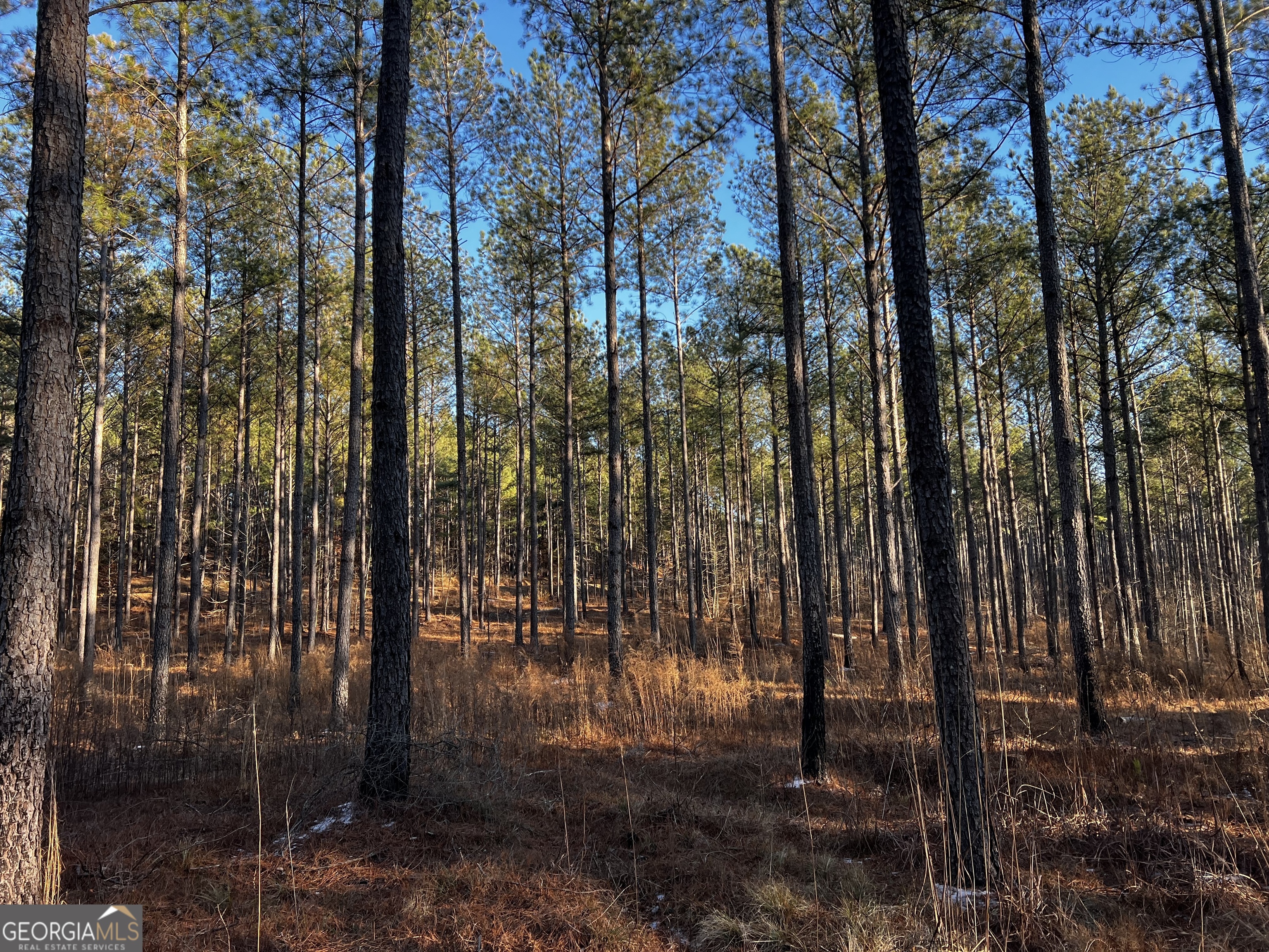 2285 Cherokee Road Comer, GA 30629 - Photo 38 of 61