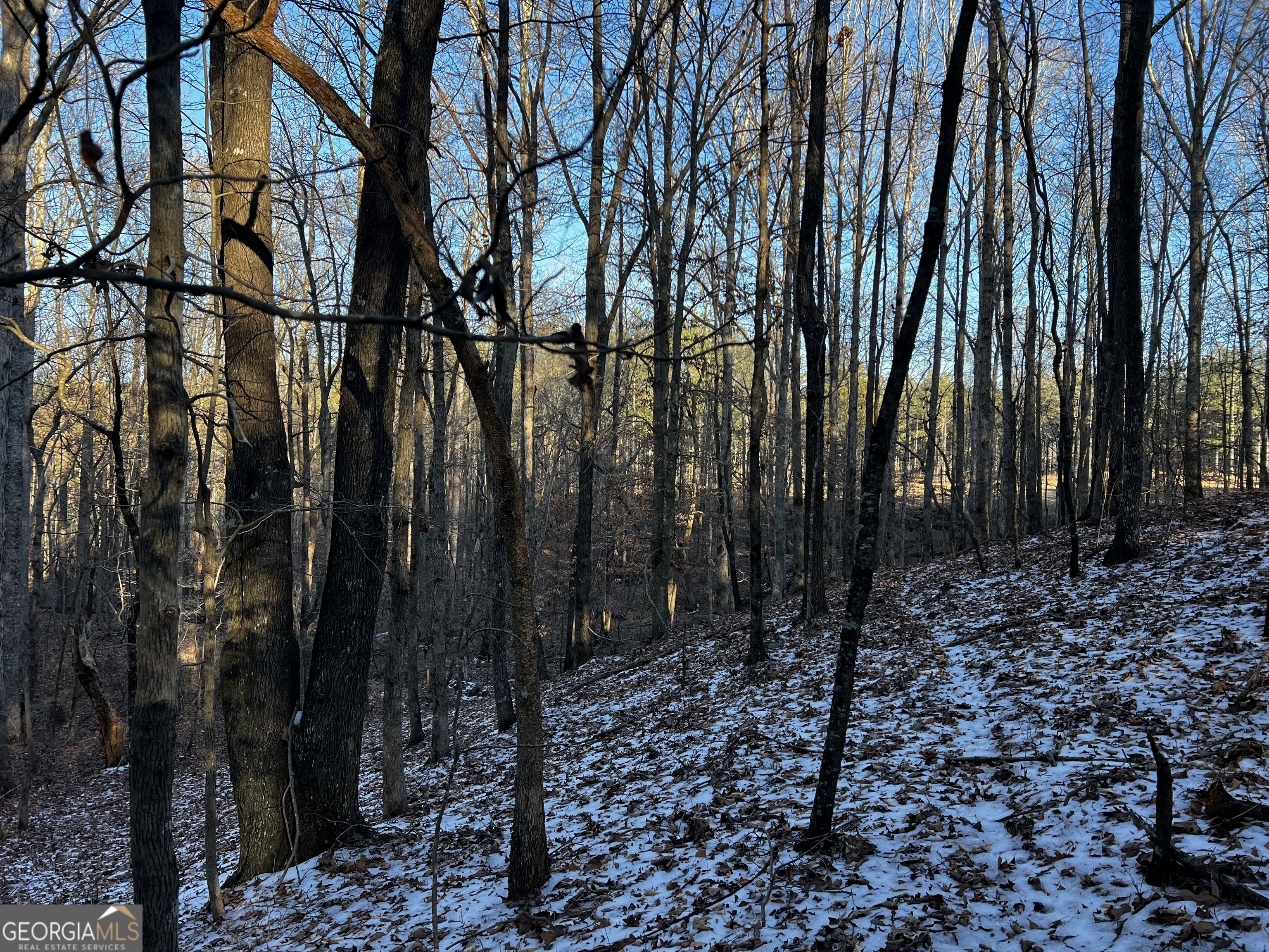 2285 Cherokee Road Comer, GA 30629 - Photo 39 of 61 a view of outdoor space with lots of trees
