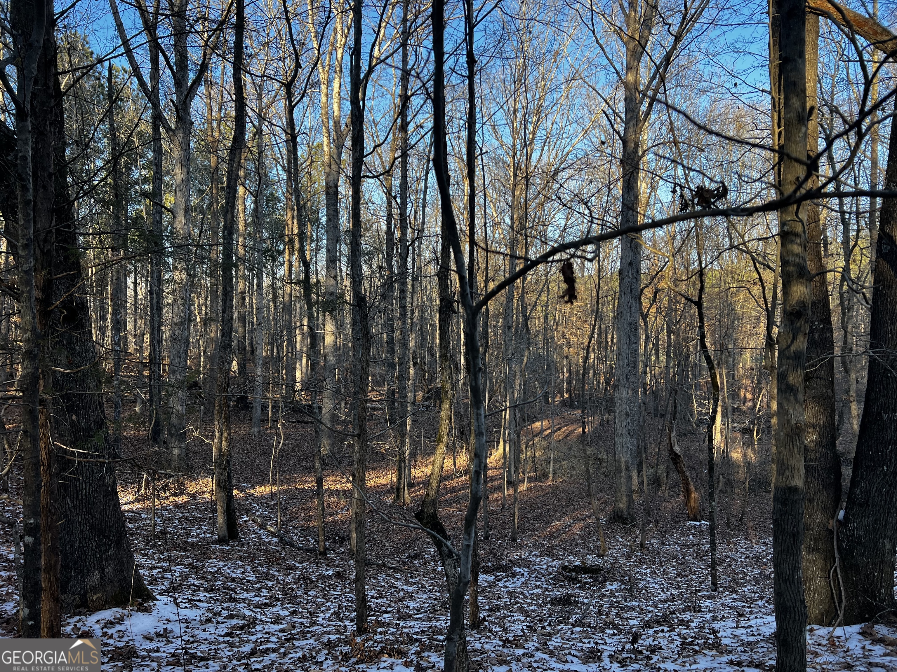 2285 Cherokee Road Comer, GA 30629 - Photo 40 of 61 a view of a yard with large trees