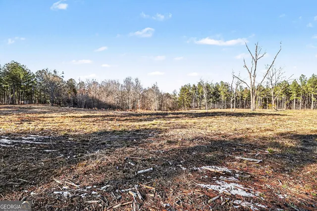 a view of a yard with a tree
