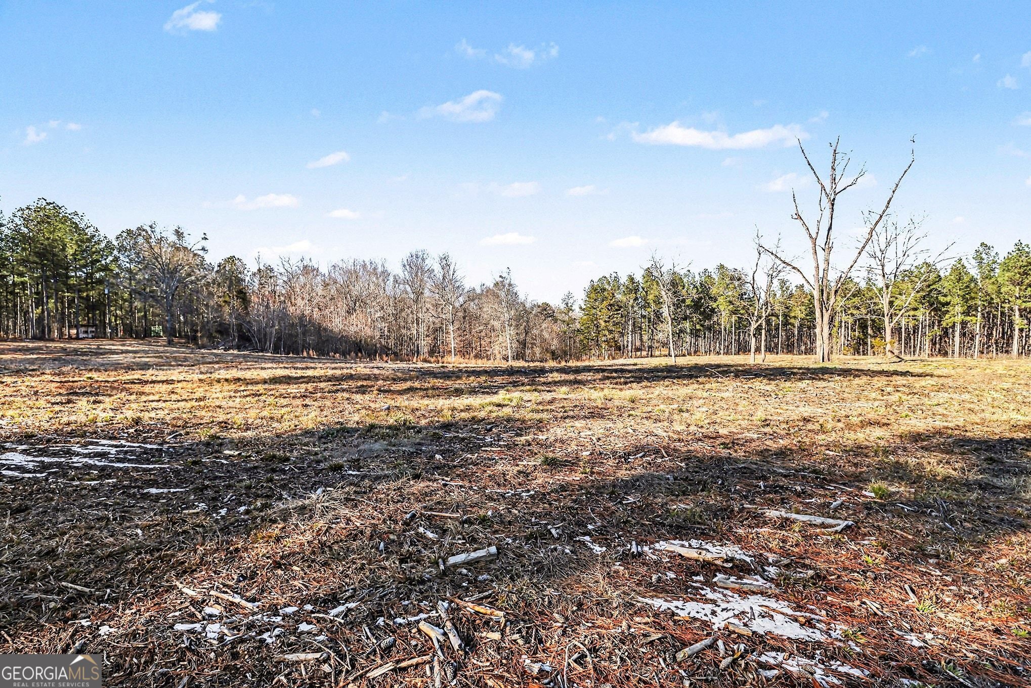 2285 Cherokee Road Comer, GA 30629 - Photo 4 of 61 a view of outdoor space with deck and yard