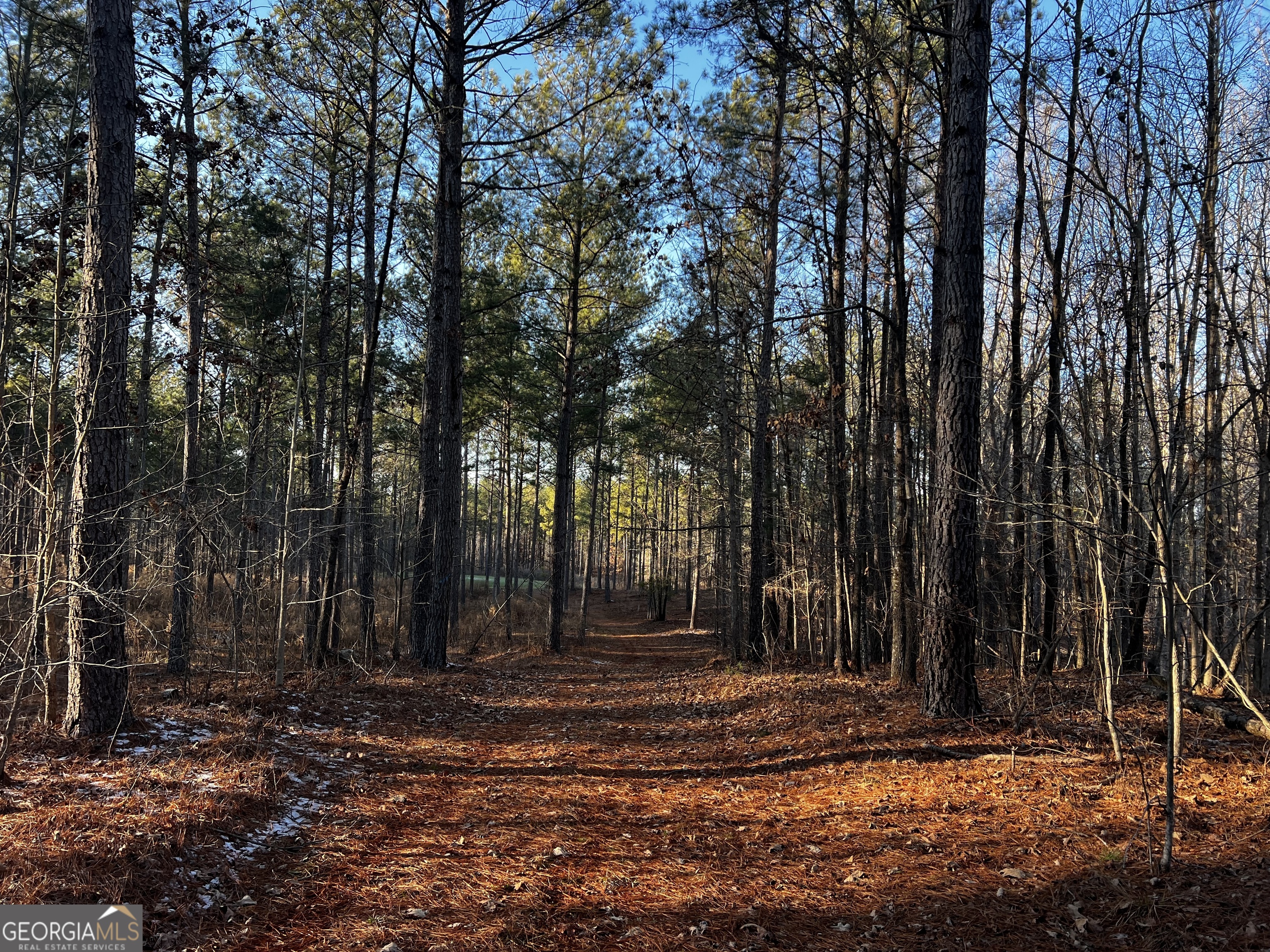 2285 Cherokee Road Comer, GA 30629 - Photo 43 of 61 a view of a backyard with large trees