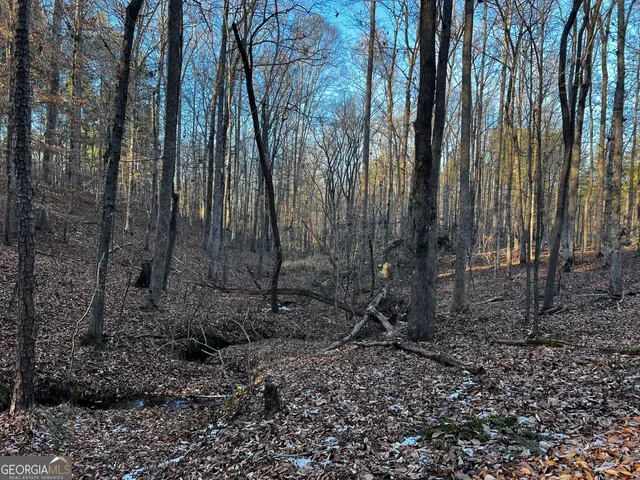 a garden view with a play ground