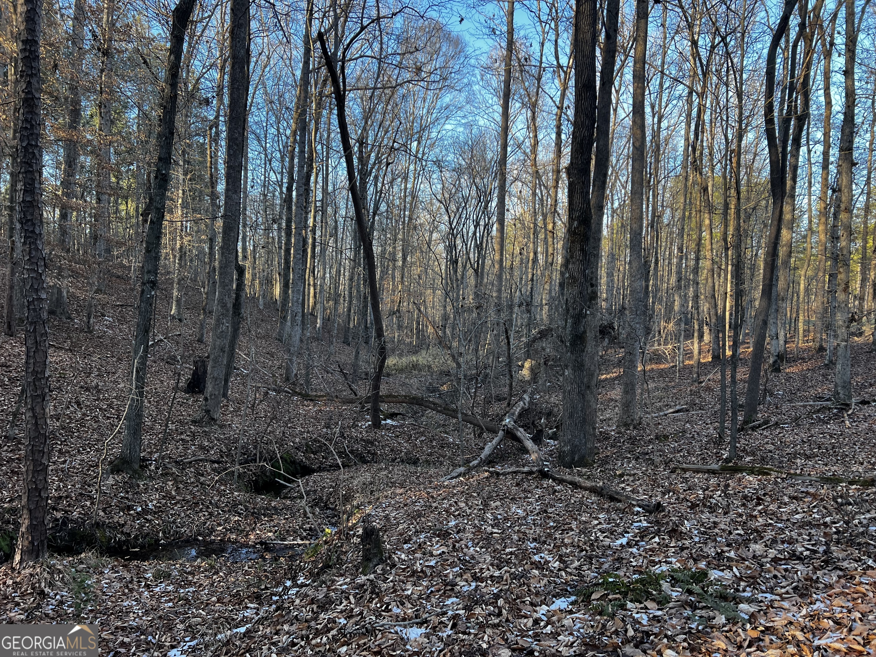 2285 Cherokee Road Comer, GA 30629 - Photo 44 of 61 a view of outdoor space with lots of trees