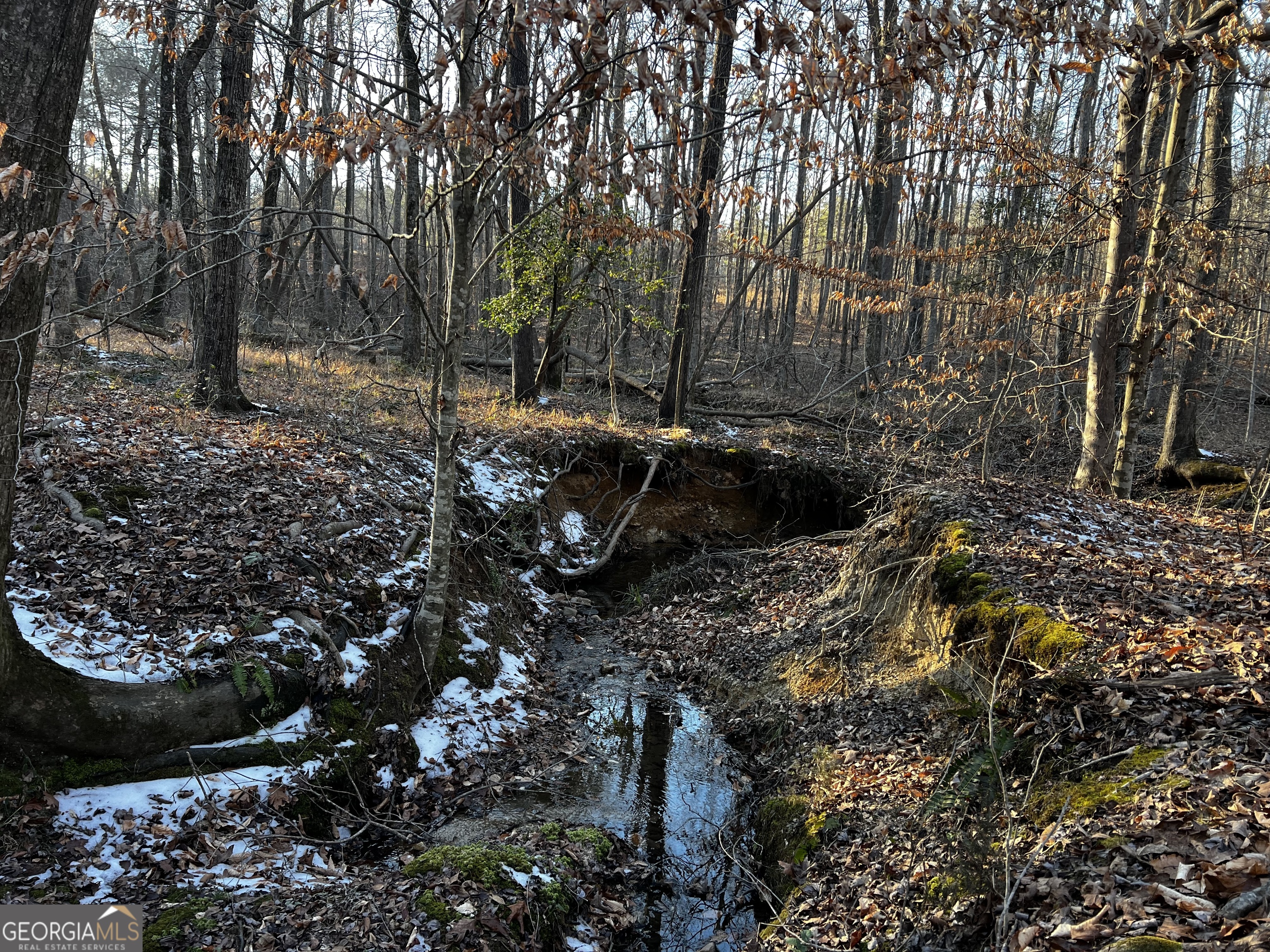 2285 Cherokee Road Comer, GA 30629 - Photo 45 of 61 a backyard of a house with lots of green space