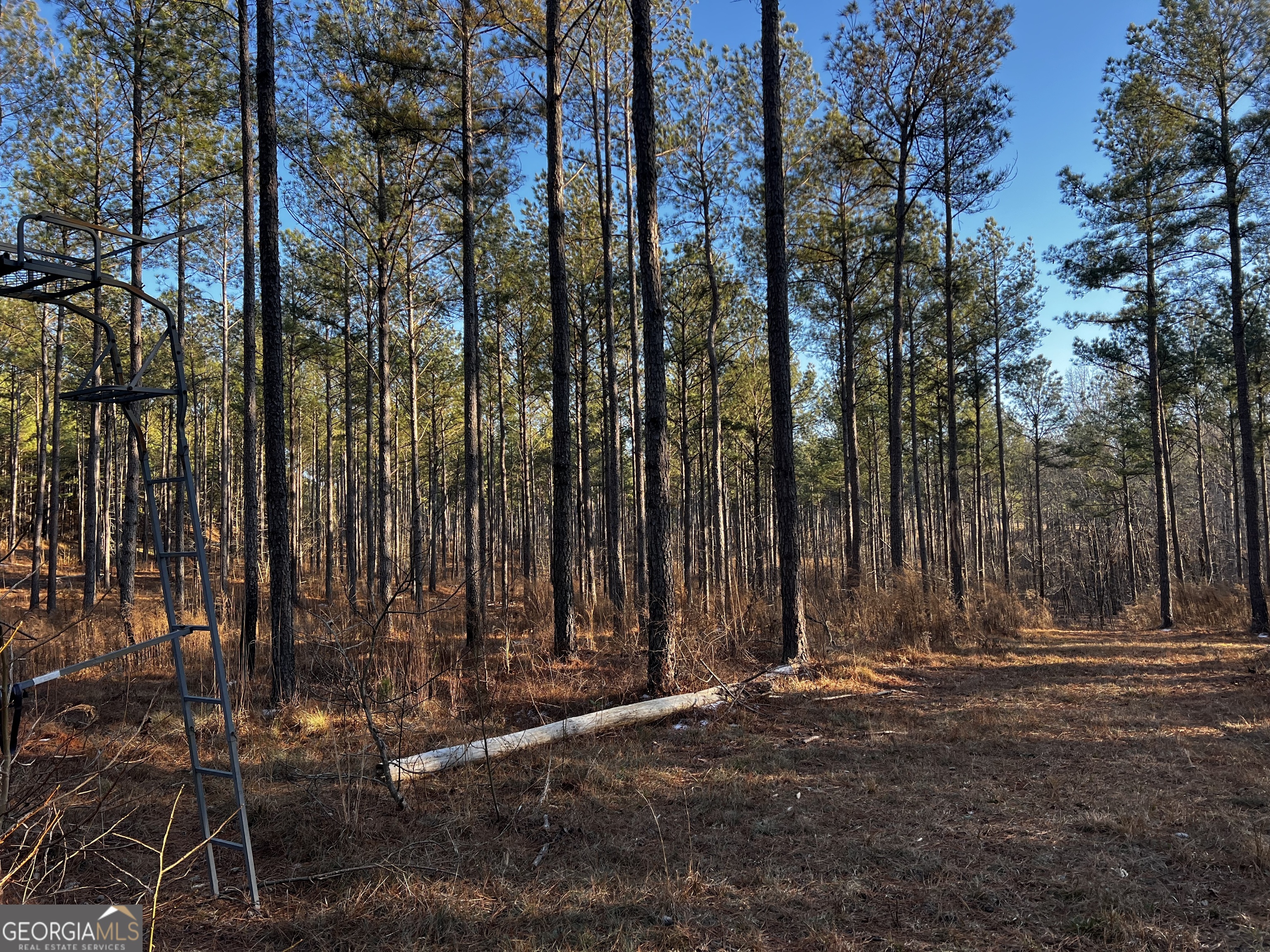 2285 Cherokee Road Comer, GA 30629 - Photo 46 of 61 a view of outdoor space with street view
