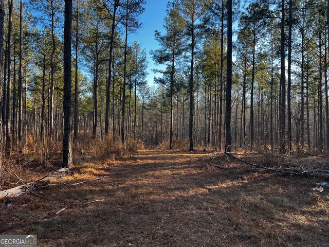 a view of backyard with green space